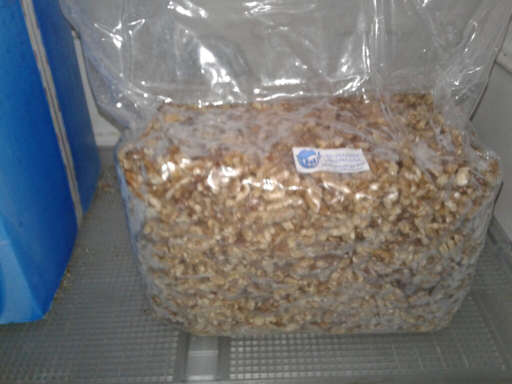 فروش مغز گردو دندانه یا حبه ای